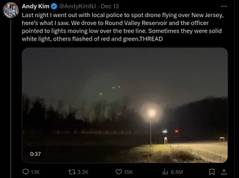 Andy Kim Idiot.jpg