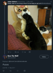 20.png