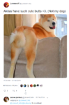 21.png