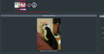 26.png