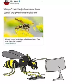 1733667144399907.jpg