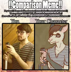 1322439334.aixarata_comparecon.png