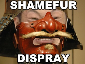 shamefurdispray.jpg