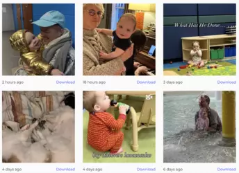 mommy blogging.png