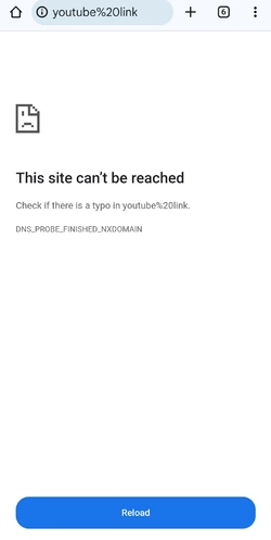 Screenshot_20241215_195726_Chrome.jpg
