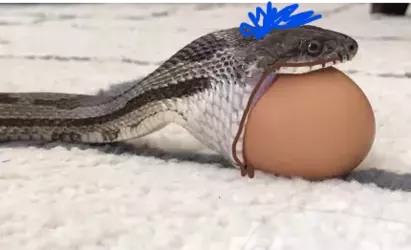 1734298090946.png