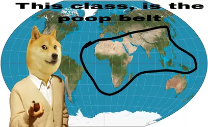 doge-poop-belt.jpg