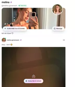 1734300694093.png