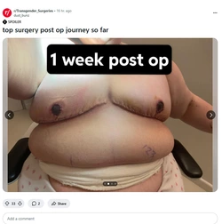 The_WTF1.jpg