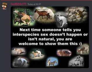 1734318216590.png