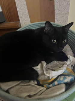 IMG_4433.jpeg