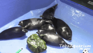 540id3t3keqc1.gif