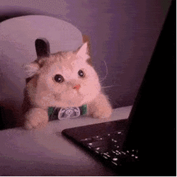5.gif