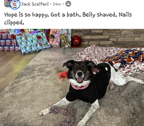 Screenshot_20241216_150914_Facebook.jpg