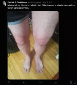 1734381201267.png