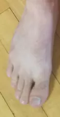 1734381293640.png