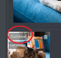 1734391121709.png