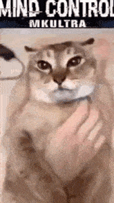 mkultra-mind.gif