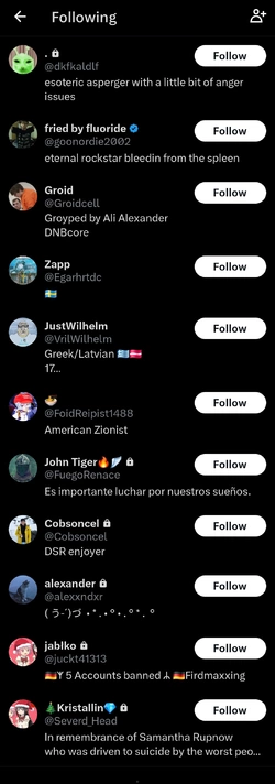 Screenshot_20241216_211224_X.jpg