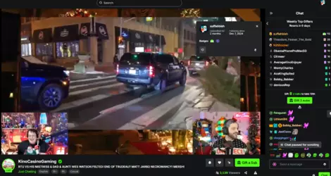 new paypig.png