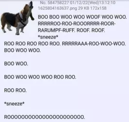 1734406516519.png