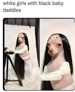 948326.jpg