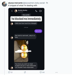 scotty01.jpg
