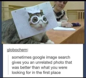 8e71c123d76c4a42.jpg