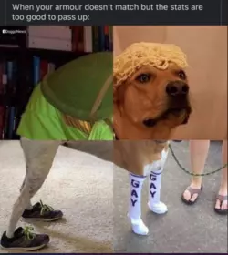 e68bad091fcd28d8.png