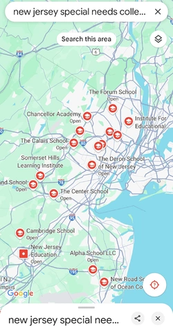 Screenshot_20241217_190100_Maps.jpg