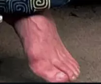 1734459747330.png