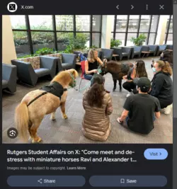 Screenshot 2024-12-17 133152.png