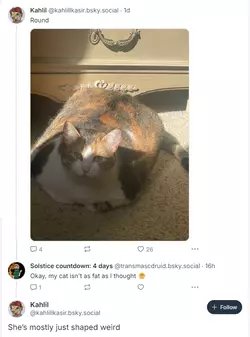 1734471161861.png