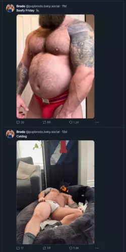 1734483761731.png