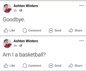 Screenshot_20241217_195922_Facebook.jpg