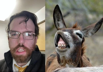 VirtuallyIdentical.jpg