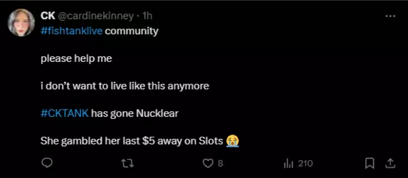 13.png