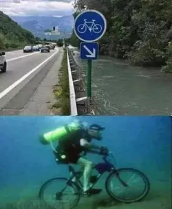 1734522288990.png
