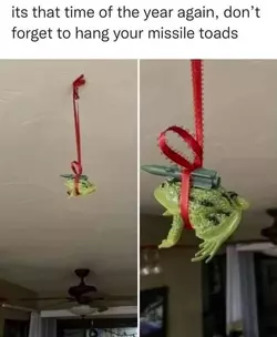 4e1173e7f67b4a79.jpg