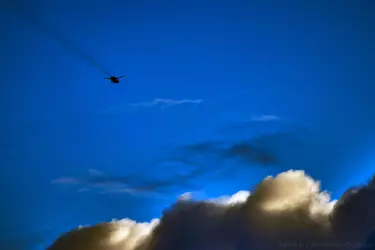 RDT_20241218_2128548000051861381824861.webp