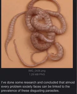 parasite.jpg