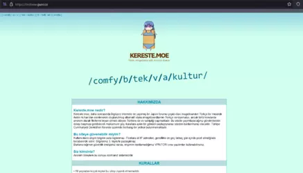 Screenshot 2024-12-19 134124.png