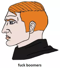 fuckboomers.png
