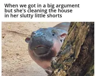 1734542698795546.png