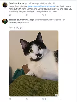 1734647562354.png