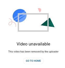 Screenshot_20241219_172242_Chrome.jpg