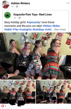 pixy-waifus.jpeg