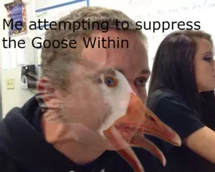 +_13dc27a07f442e90f0d270cc5d365eb4.png