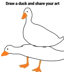 1734703403352.jpeg