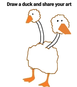 1734703929463.jpeg